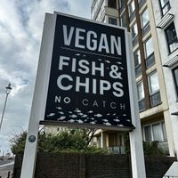   at The No Catch Co in Brighton