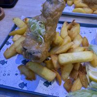   at The No Catch Co in Brighton