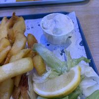   at The No Catch Co in Brighton