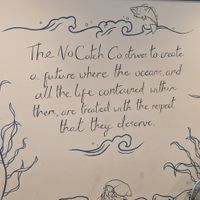  at The No Catch Co in Brighton