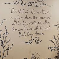  at The No Catch Co in Brighton