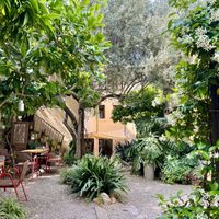   at Miga de Nube in Mallorca