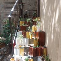 Garden at Miga de Nube in Mallorca