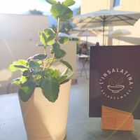  at L‘ Insalatina in Merano