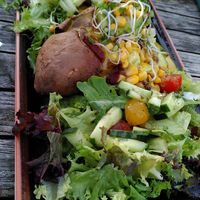 Kumpir vegan at JOHO Broiler in Prerow