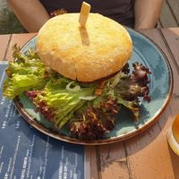 Falafel burger at JOHO Broiler in Prerow