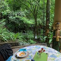 We ate our meals surrounded by all this beauty! at Waterfall Villas in Dominical