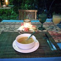 Starter Zucchini Soup (dinner always had a starter, entree and dessert) and that view!!! at Waterfall Villas in Dominical