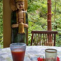 Every meal had fresh juice.... this one was papaya.  And, again.... the amazing view! at Waterfall Villas in Dominical