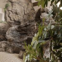 The waterfall! at FANCL Brown Rice Meals in Tokyo