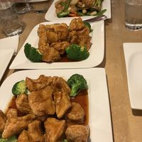 Two orders of general Tso’s tofu and One of the veggie and tofu dishes (all so similar I lost track of what’s what)   at Jia Mei Asian Kitchen in Madison