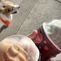   at Yoga-urt - Santa Monica in Santa Monica