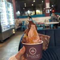   at Yoga-urt - Santa Monica in Santa Monica