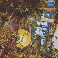 The whole place is full of plants. at The Garden of Easton in Bristol