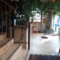 Plants everywhere at The Garden of Easton in Bristol