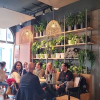 Plant power at Copper Branch in Utrecht