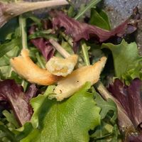   at Copper Branch in Utrecht