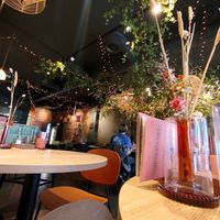  at Copper Branch in Utrecht