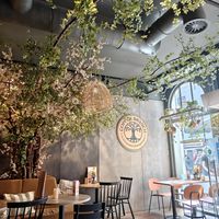 Inside at Copper Branch in Utrecht