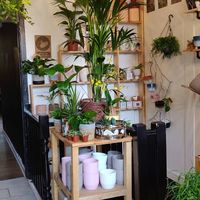 Plant shop at the front at Urban Jungle Brunch Room in Edinburgh