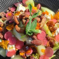Salad with homemade root pickles, salty almonds, flowers, white melon  and vegan feta cheese at Sono Matseljur in Reykjavik
