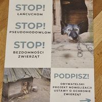 🐾 at Vega in Warsaw