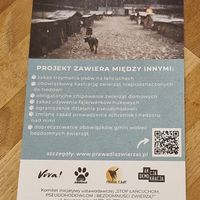 💗 at Vega in Warsaw