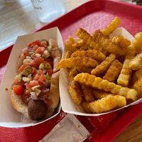   at DoggyStyle in Sarasota