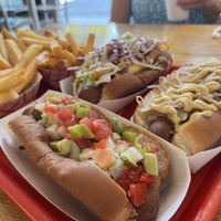   at DoggyStyle in Sarasota