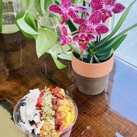 additional toppings include: coconut, peanut butter, almond butter, goji berries, cocoa nibs, hemp seeds, chia seeds, nutella and bee pollen   at Bountiful Bowls in Lewes