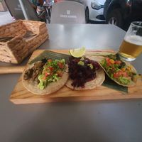 Tacos at Fauna Food & Arts in Barcelona