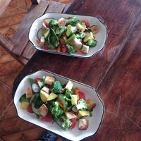 Side salad we made in the class at Darinia's Kitchen in Corn Islands