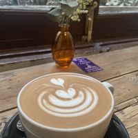   at Slow Café in Madrid