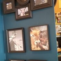 Human and non human animals  #Veganuary at Pachamama Soul in Calgary