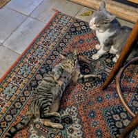  at Vacilando in Istanbul