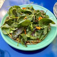   at DAR Restaurant & Cocktail Bar in Zurich