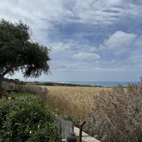   at Mamacita Café in Sarchittu