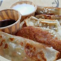 Vegan Gyoza at The Spot Watersport in Zandvoort