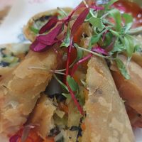 Spring rolls at Giggling Squid in Cambridge