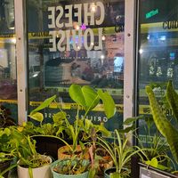 Plants for sale at Cheese Louise in Portland