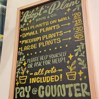 Plants at Cheese Louise in Portland