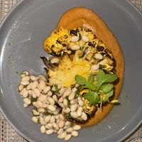   at Tortuga Lodge & Gardens in Tortuguero