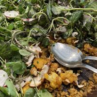   at La Zorra in Sitges