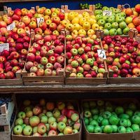 Food at Central Market in Chisinau