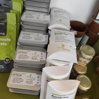 Toothpaste tablets at The Filling Station in Galway