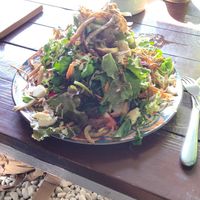Avocado salad with mushrooms at Vegan Way in Pokhara