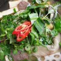 Ricenudelsoup with Tofu, fake beef and veggies at My Hao in Nuremberg