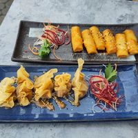 spring rolls and wan tan at My Hao in Nuremberg