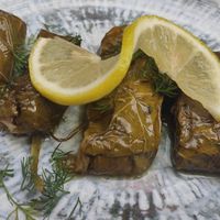 Dolmadakia (stuffed vine leaves) vegan at The Rouga in Thessaloniki