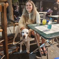   at Magic Kitchen in Athens